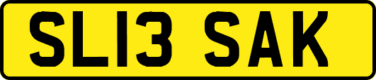 SL13SAK