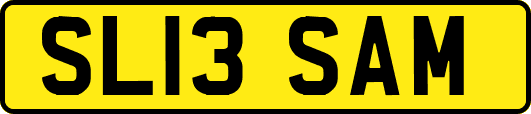 SL13SAM