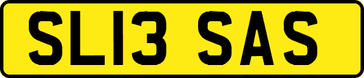 SL13SAS