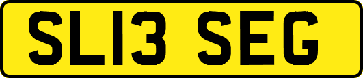 SL13SEG