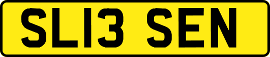 SL13SEN