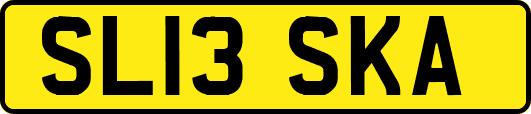 SL13SKA