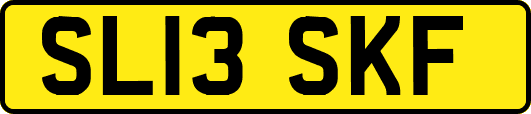 SL13SKF