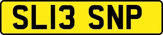 SL13SNP