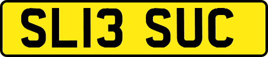SL13SUC