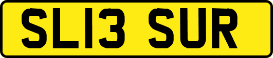 SL13SUR