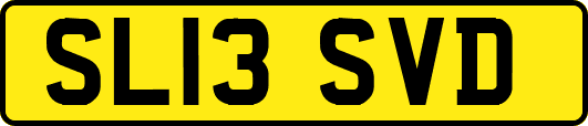 SL13SVD