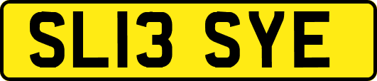 SL13SYE
