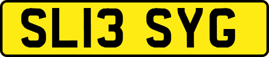 SL13SYG
