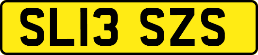 SL13SZS