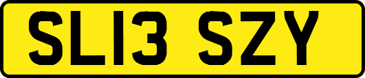 SL13SZY