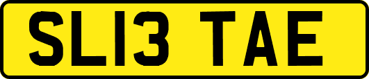 SL13TAE