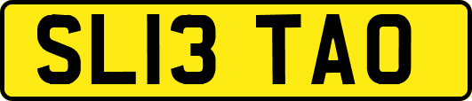 SL13TAO