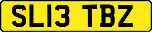 SL13TBZ