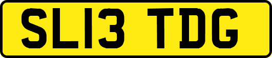 SL13TDG