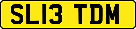 SL13TDM