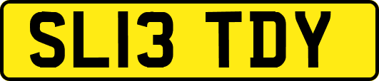 SL13TDY