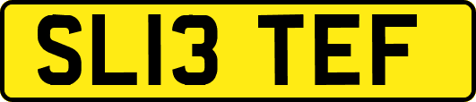 SL13TEF