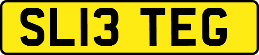 SL13TEG
