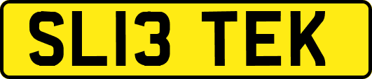 SL13TEK