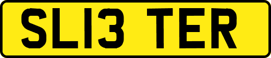 SL13TER