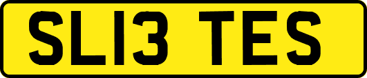 SL13TES