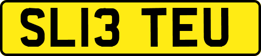 SL13TEU