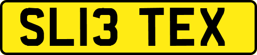 SL13TEX