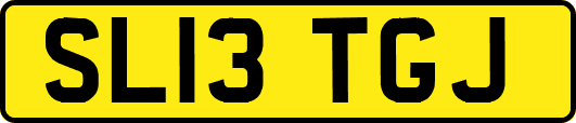 SL13TGJ