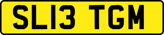 SL13TGM