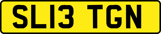 SL13TGN