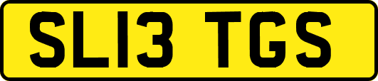 SL13TGS