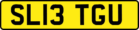 SL13TGU