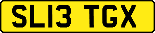 SL13TGX