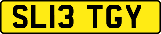 SL13TGY