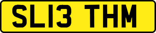 SL13THM