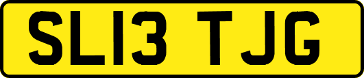 SL13TJG