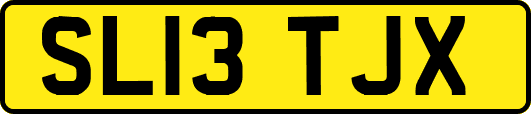 SL13TJX
