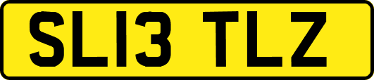 SL13TLZ