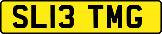 SL13TMG