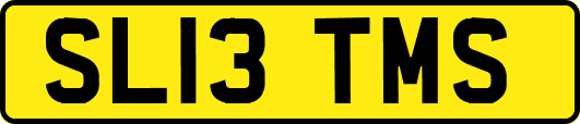 SL13TMS