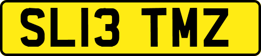 SL13TMZ