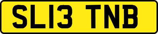 SL13TNB