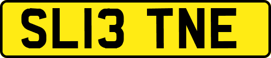 SL13TNE
