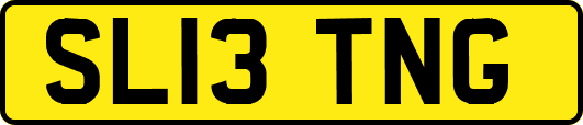 SL13TNG