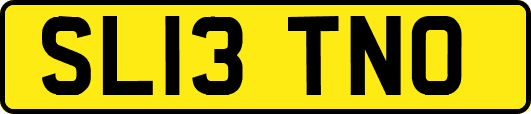 SL13TNO