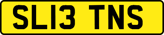 SL13TNS