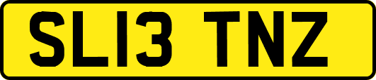 SL13TNZ
