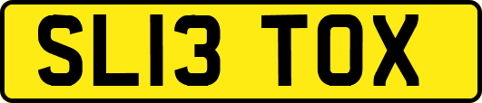 SL13TOX