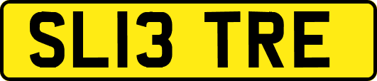 SL13TRE